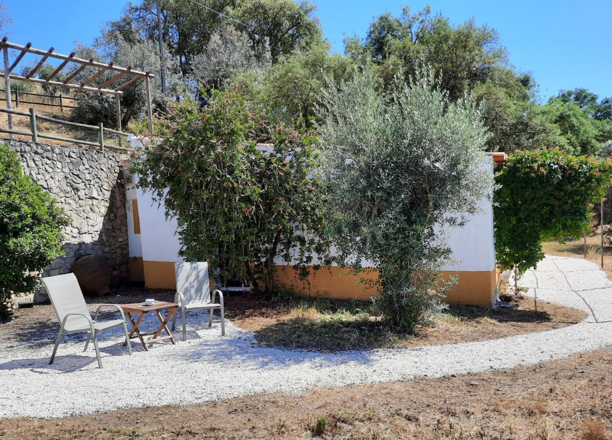 Вілла Quinta De Evoramonte Ештремош Екстер'єр фото