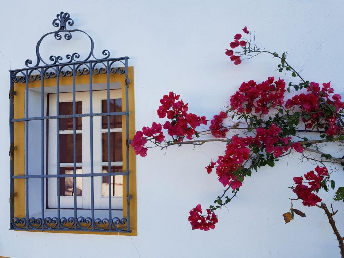 Вілла Quinta De Evoramonte Ештремош Екстер'єр фото