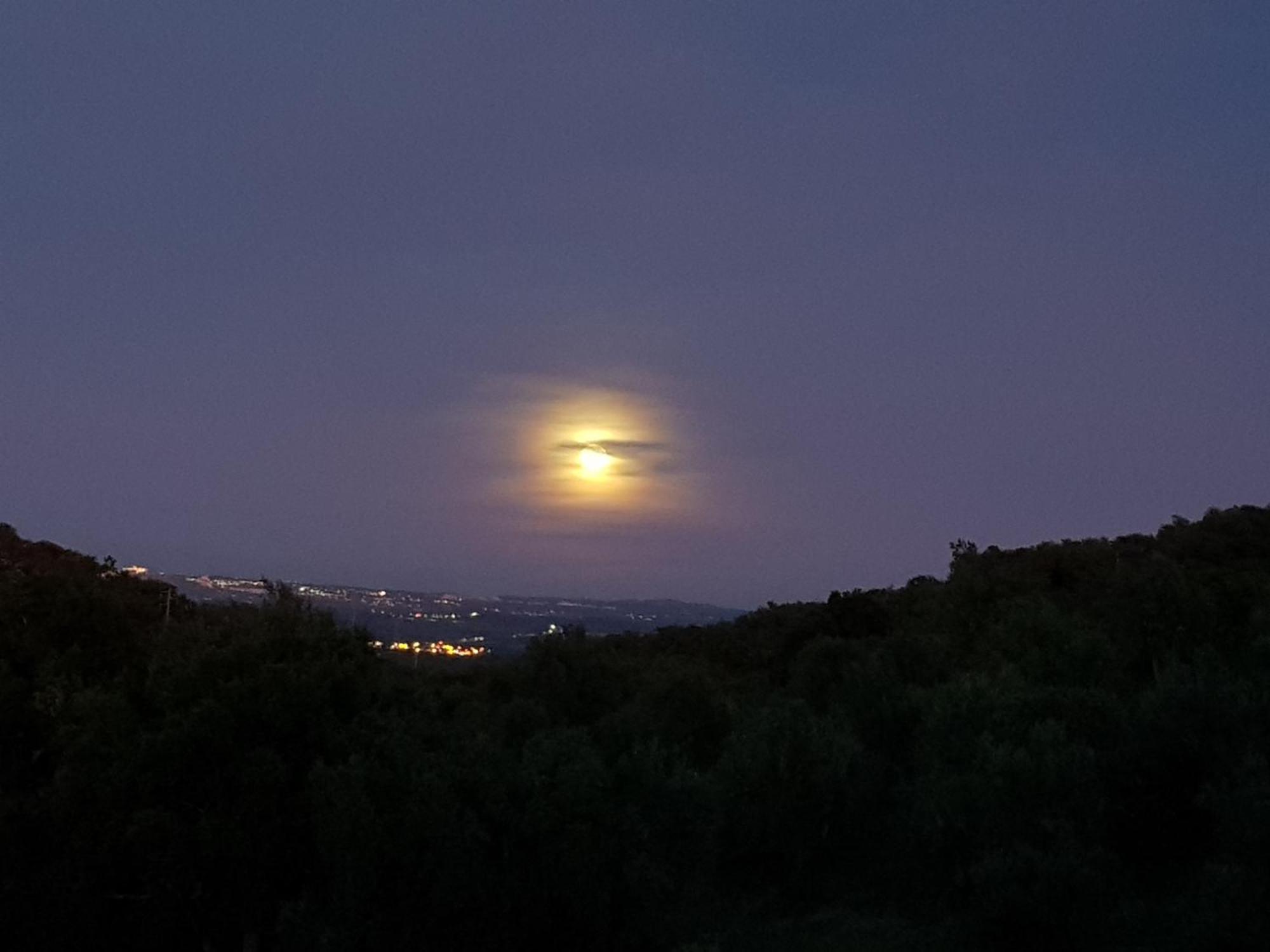 Вілла Quinta De Evoramonte Ештремош Екстер'єр фото