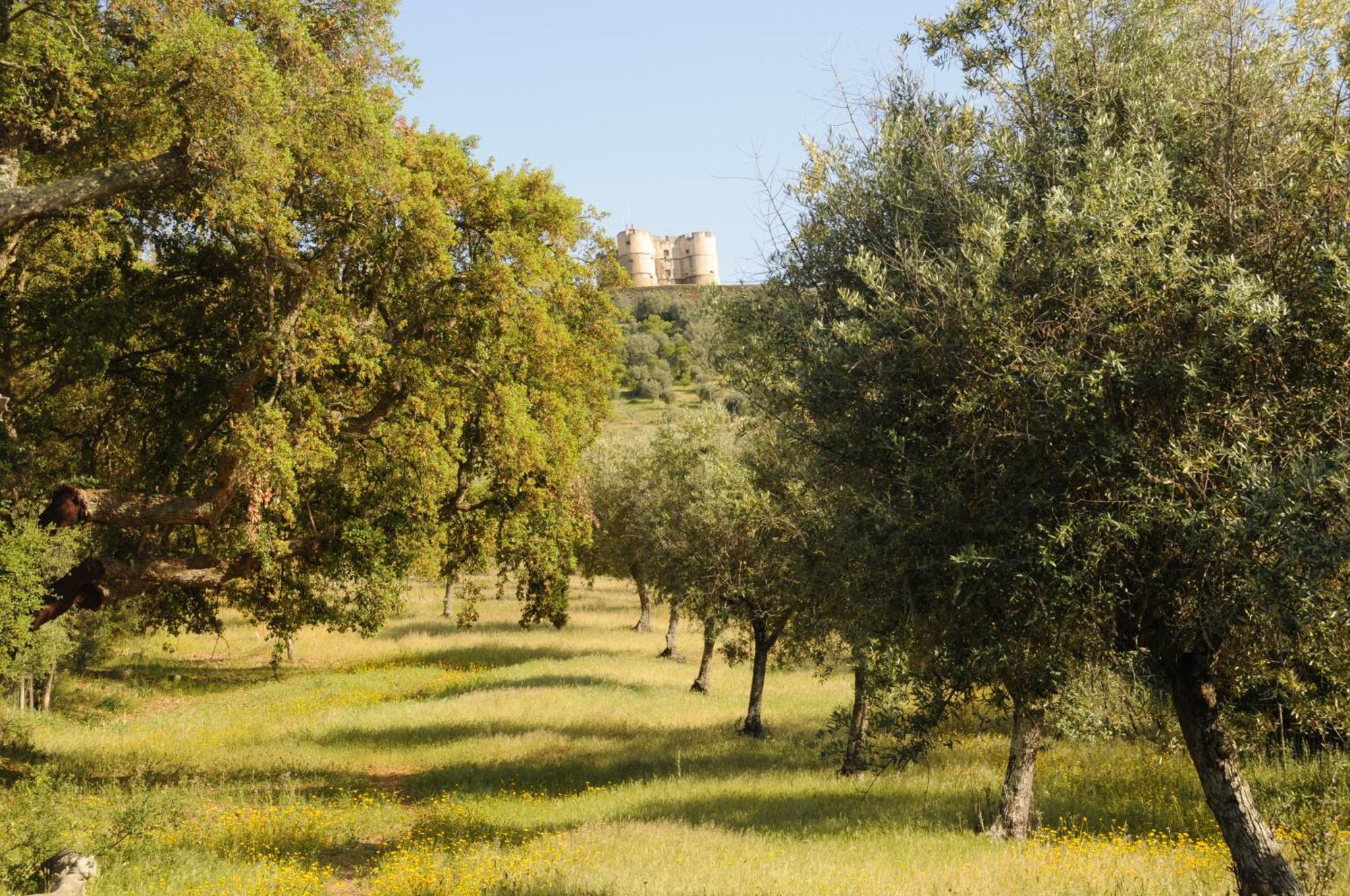 Вілла Quinta De Evoramonte Ештремош Екстер'єр фото
